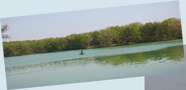 Genetay